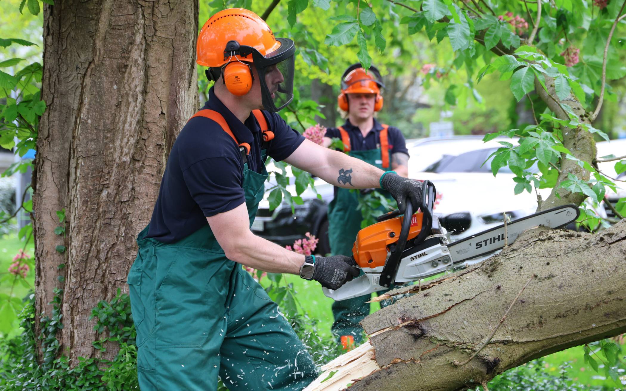 Bilder: Abgeknickter Ast verletzt drei Personen