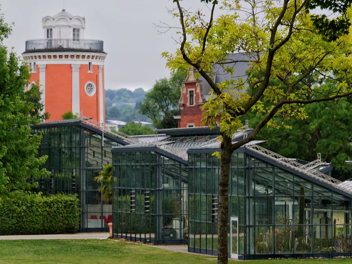 Blumen- und Gartenmarkt auf der Hardt – plus Elisenturm