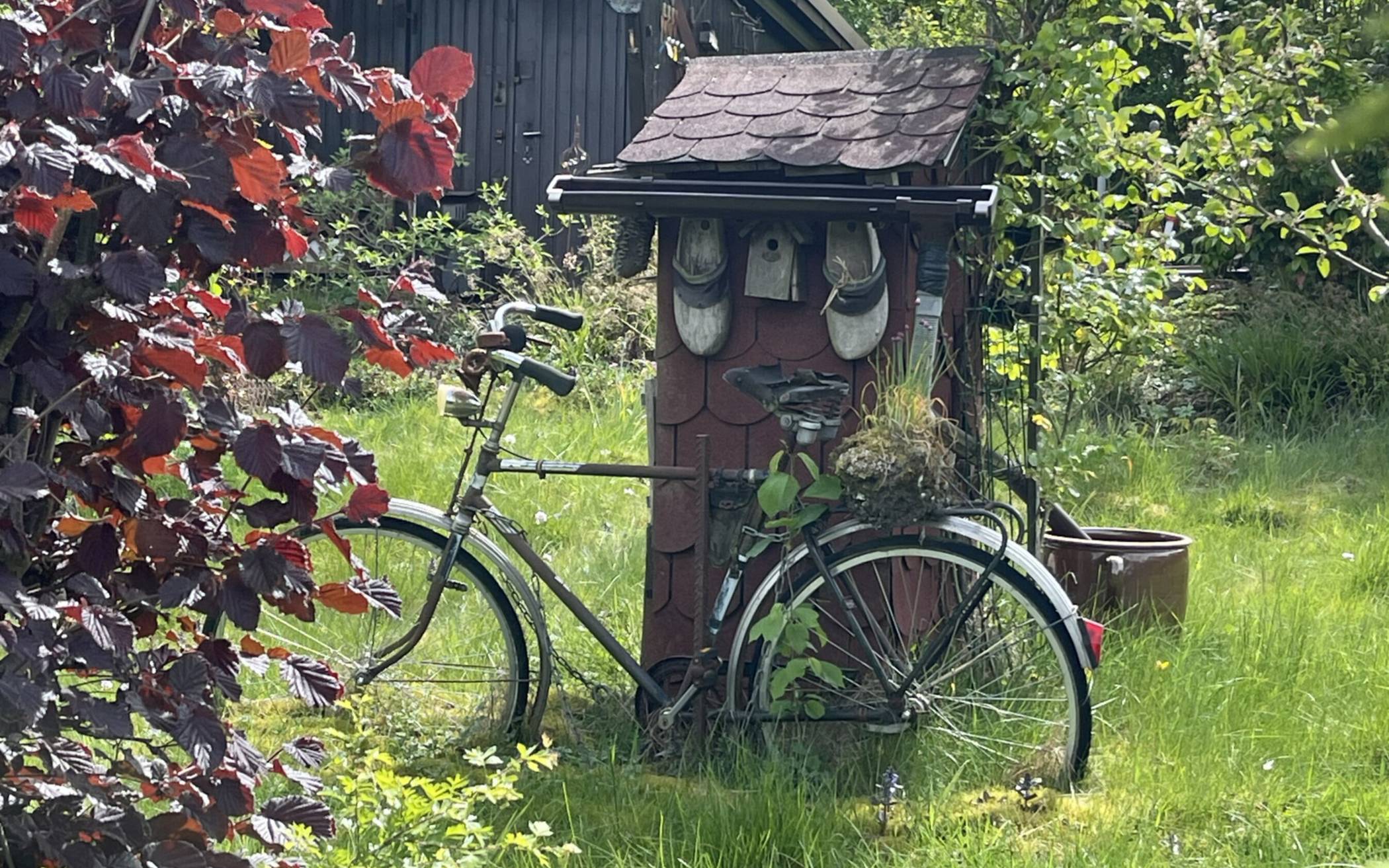 „Schade, sah ganz nett aus“