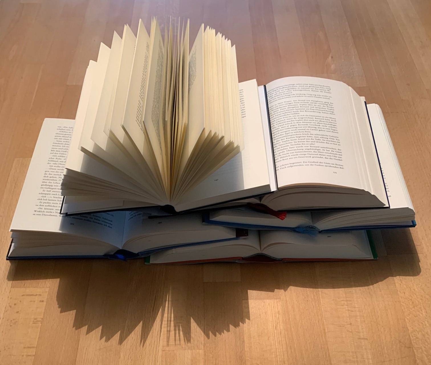 Es gibt viele interessante Bücher auf der „Wuppertaler Literatur Biennale“.