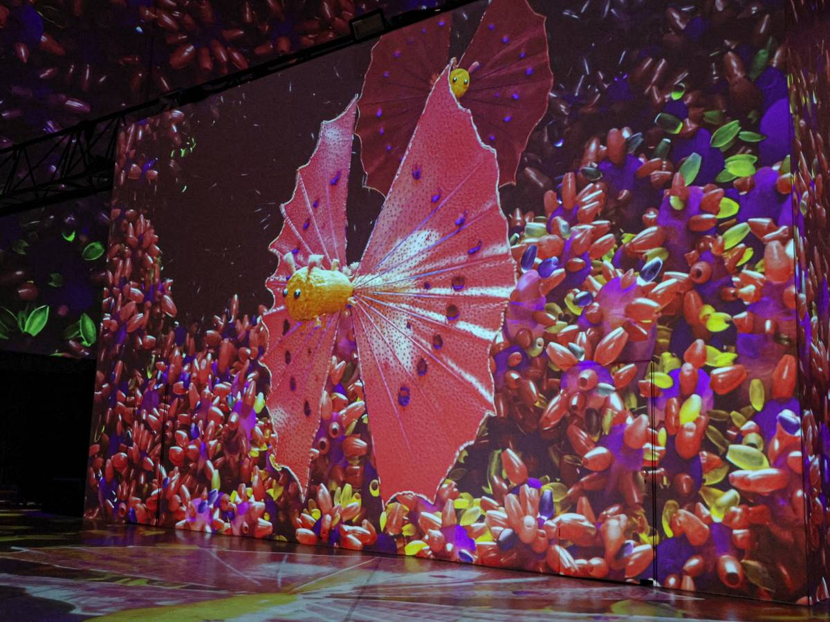 Mit Bildern: Visiodrom-Show mit Urknalleffekt
