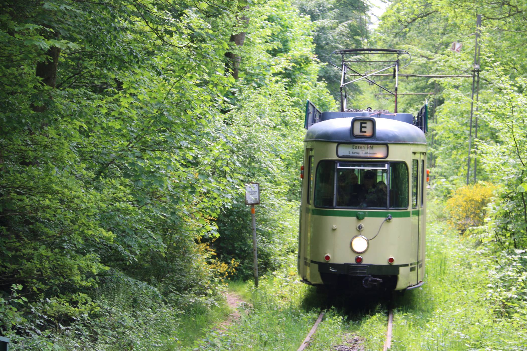  Eine historische Bahn (Baujahr 1957) von der Bochum-Gelsenkirchener Straßenbahn kurz vor der Haltestelle Friedrichshammer. 