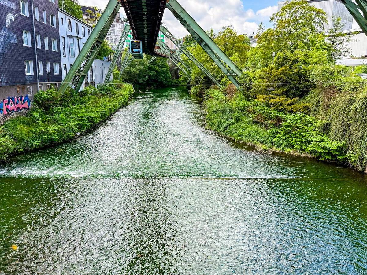 Am Vormittag wurde die Wupper auf einmal grün