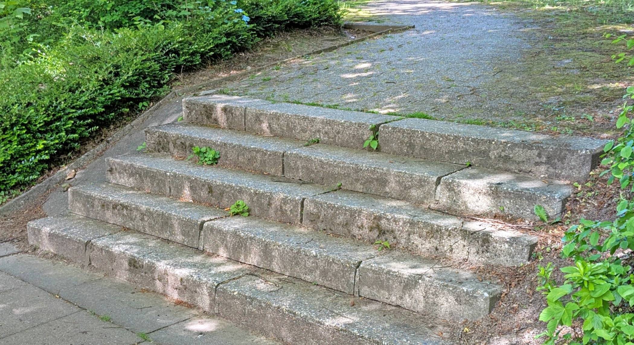  Foto: Helmut Pfannkuchen  