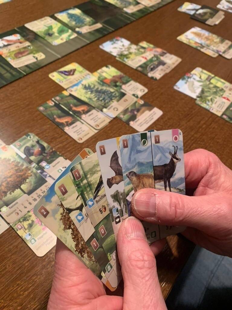 Eines der Brettspiele.