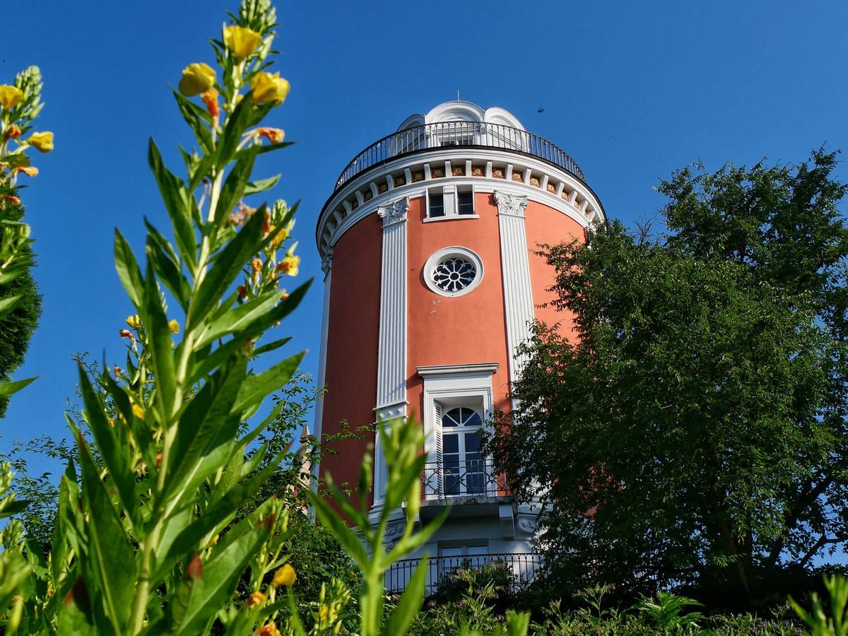 Führung, offener Elisenturm und Pflanzenberatung