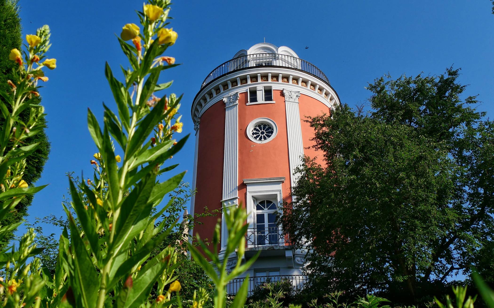 Führung, offener Elisenturm und Pflanzenberatung