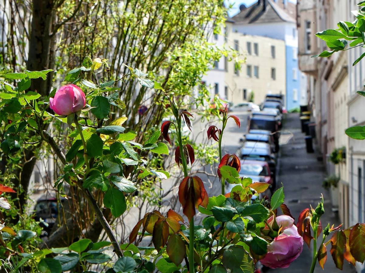 Zwei Wohnquartiere am Rande der Nordbahntrasse