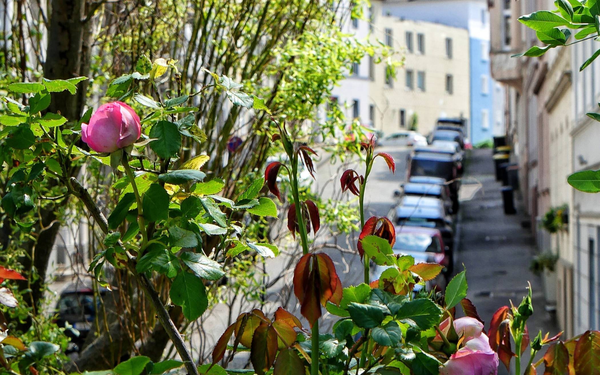 Blick ins Quartier.
