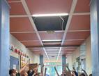 Die Schülerinnen und Schüler unter der