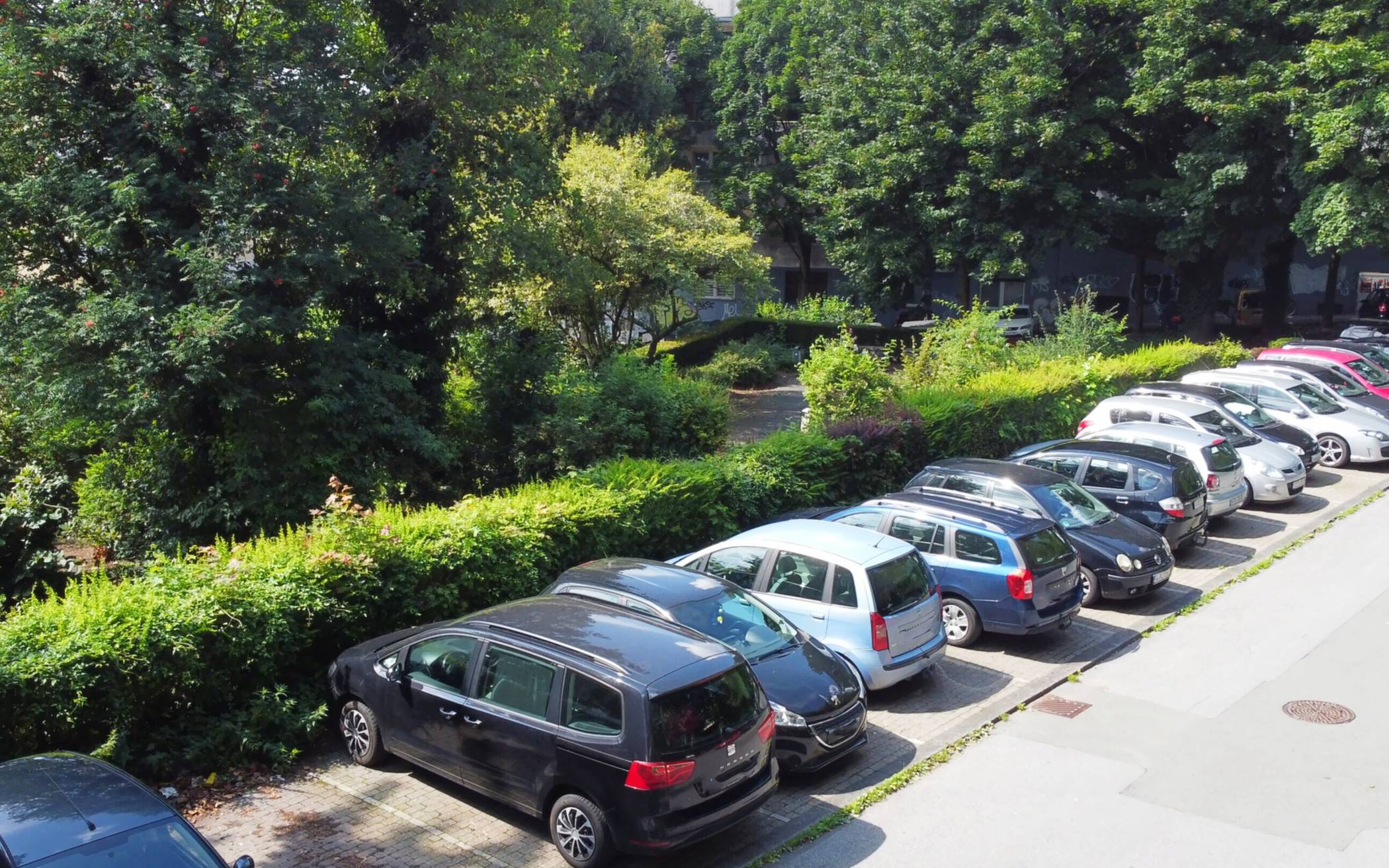  Auf zwei der 20 Parkplätze in der Kölner Straße sollte jeweils ein Baum gepflanzt werden.   