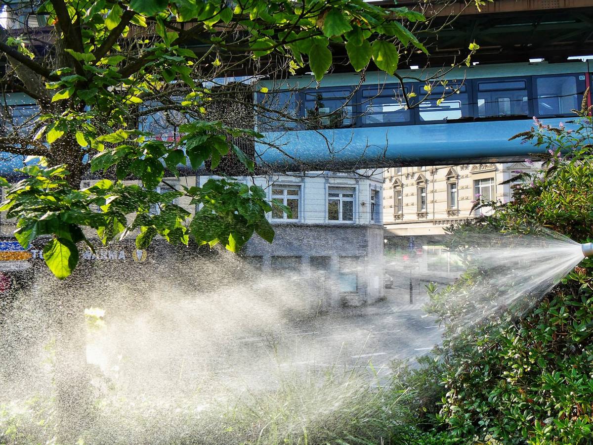 Wuppertal überzeugt im „Hitzecheck 2026“