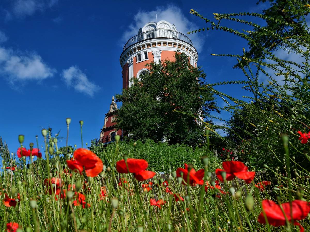Blumen und ihre Botschaften im Botanischen Garten