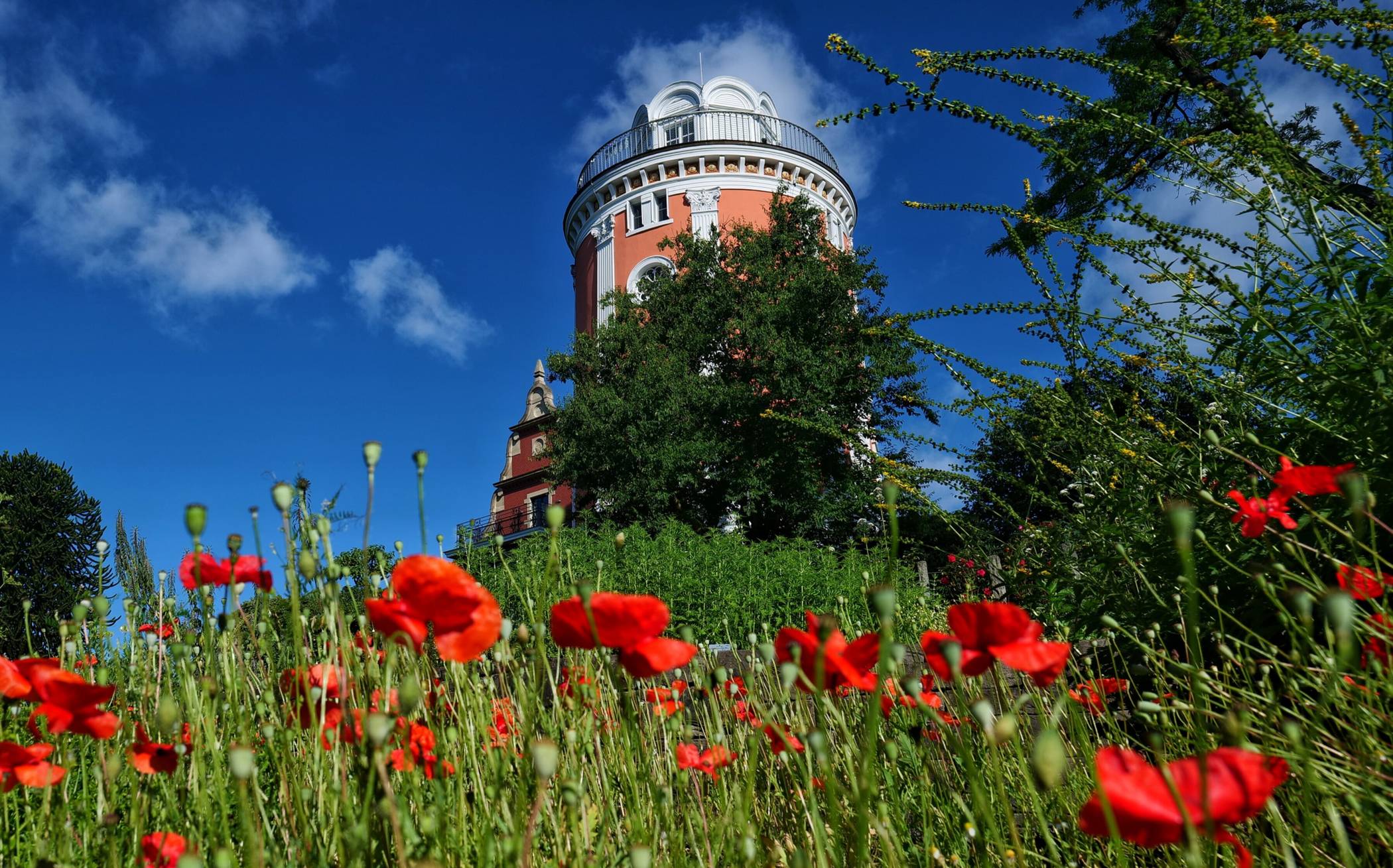  Blumen vor dem Elisenturm. 