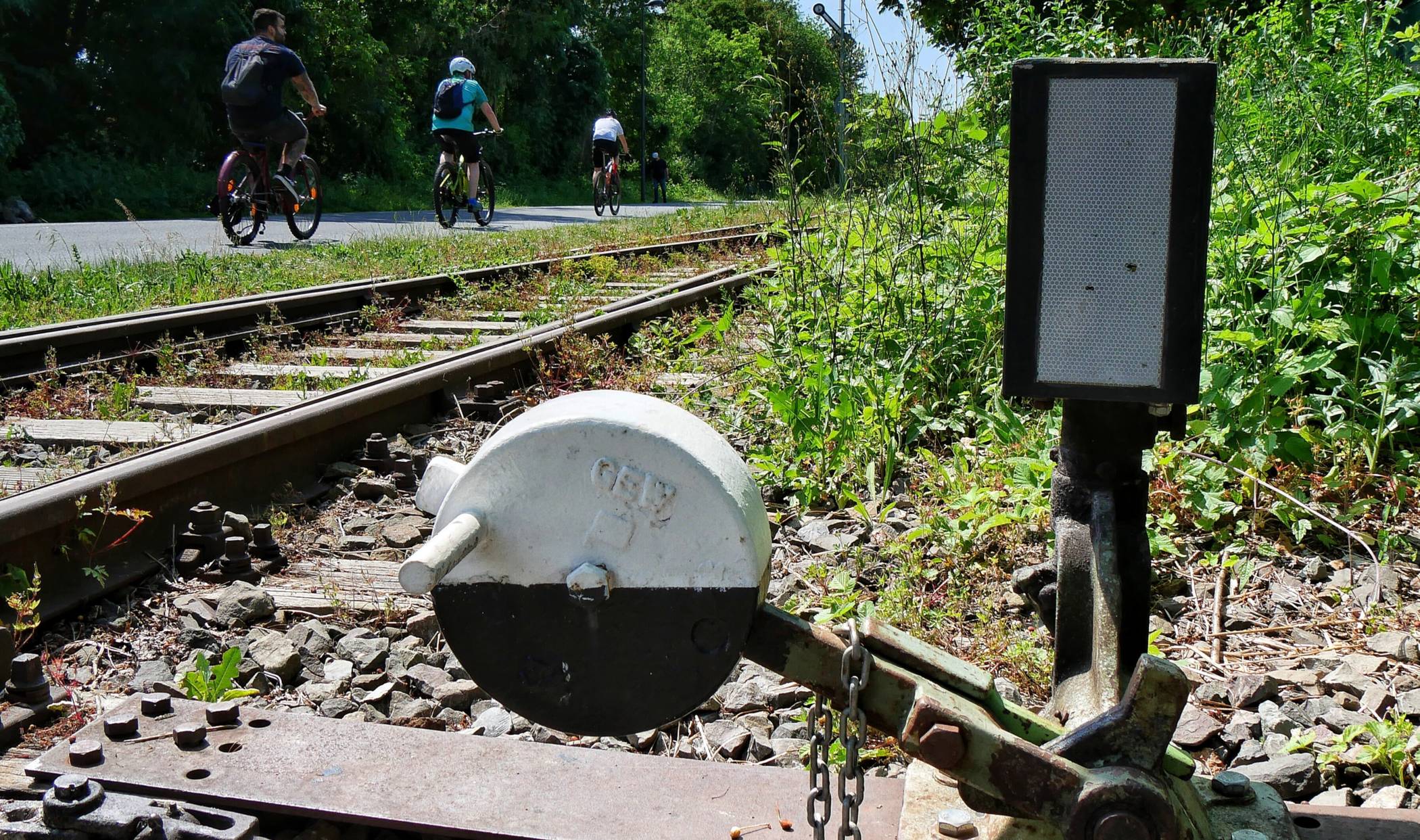 Die Nordbahntrasse ist auch nach 20 Jahren äußerst beliebt.