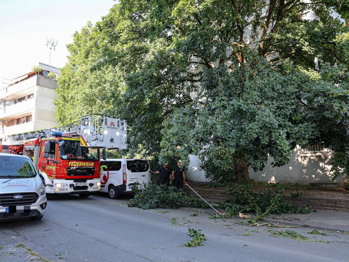Feuerwehr muss Ast entfernen