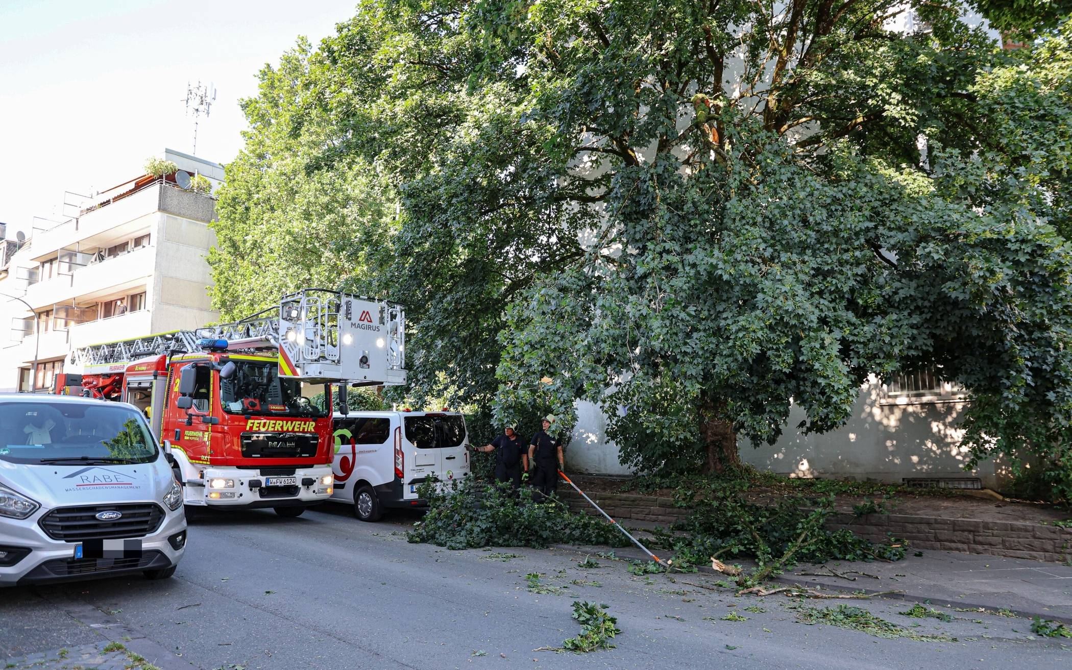 Bilder: Wuppertaler Feuerwehr muss Ast entfernen