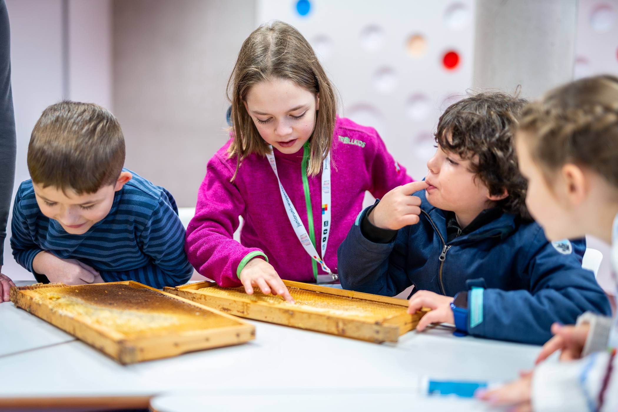 Im Kurs „Faszinierende Welt der Bienen“ lernen die Studentinnen und Studenten, warum Bienen für das Ökosystem von essenzieller Bedeutung sind und was das mit Nachhaltigkeit zu tun hat.
