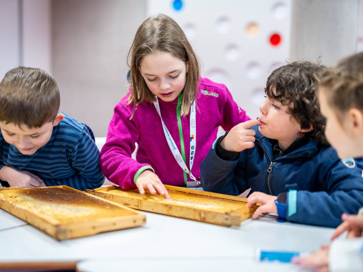 Junior Uni stärkt Bildung für nachhaltige Entwicklung