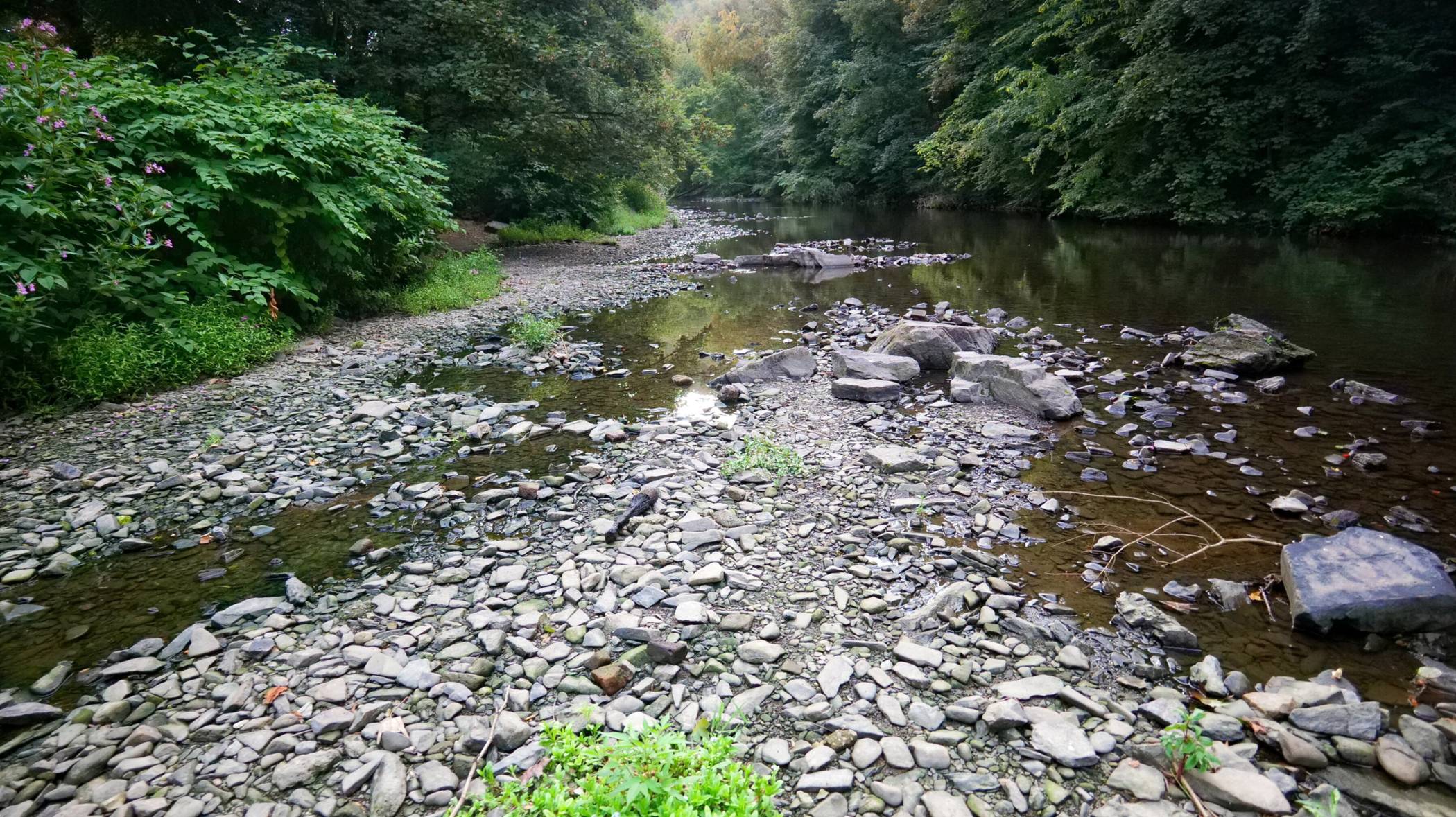 Die Wupper weist einen niedrigen Wasserstand auf – hier eine Aufnahme aus Wuppertal-Sonnborn.