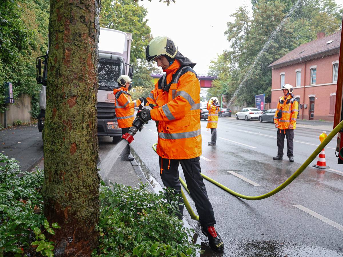 Freiwillige Feuerwehren versorgen Straßenbäume