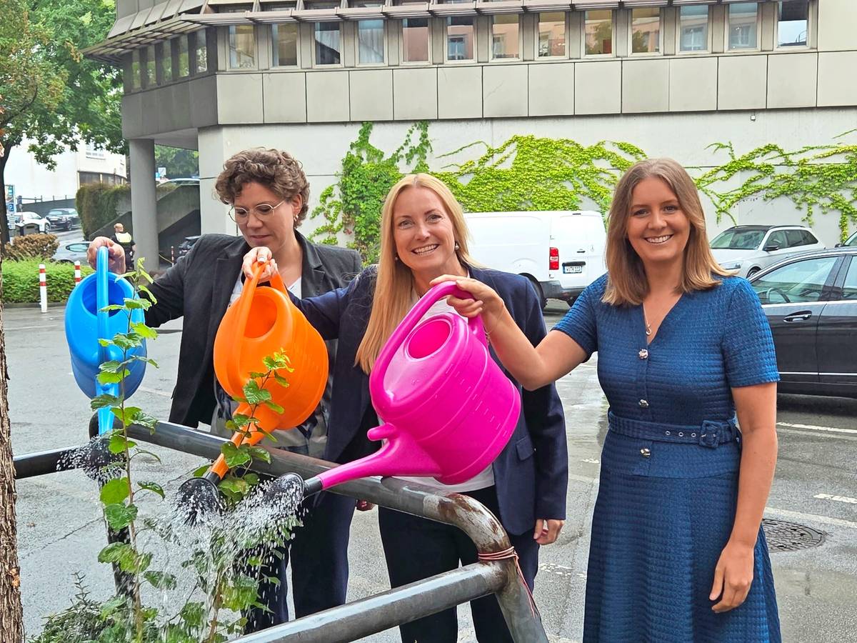 Erste Hilfe für durstige Stadtbäume in Wuppertal