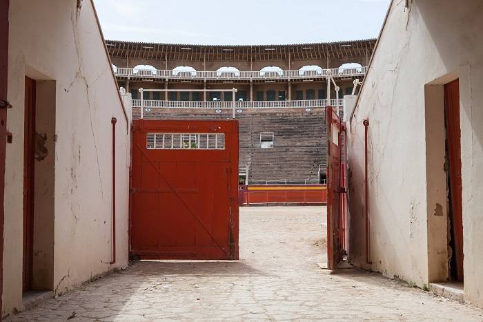 Oper: „Carmen“ in einer Stunde