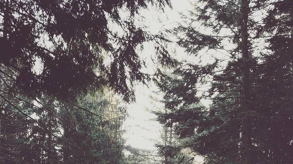 Anna Stoffeles Herztal-Woche