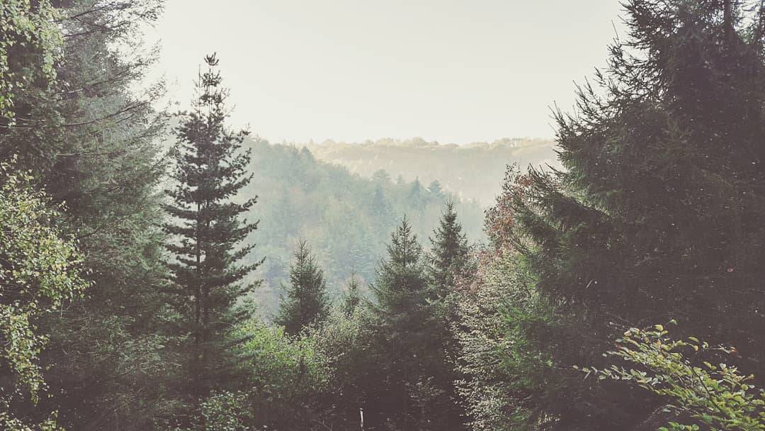  Dieses Bild aus Burgholz gefiel Jurorin Nina Bossy in dieser Woche am besten.  