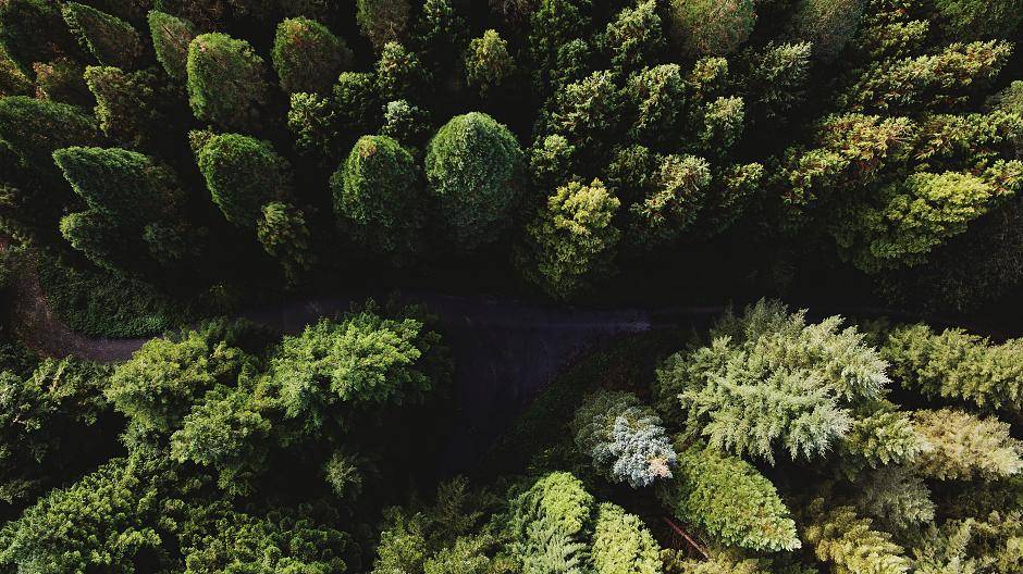 In Wuppertal schlägt ein grünes Herz...