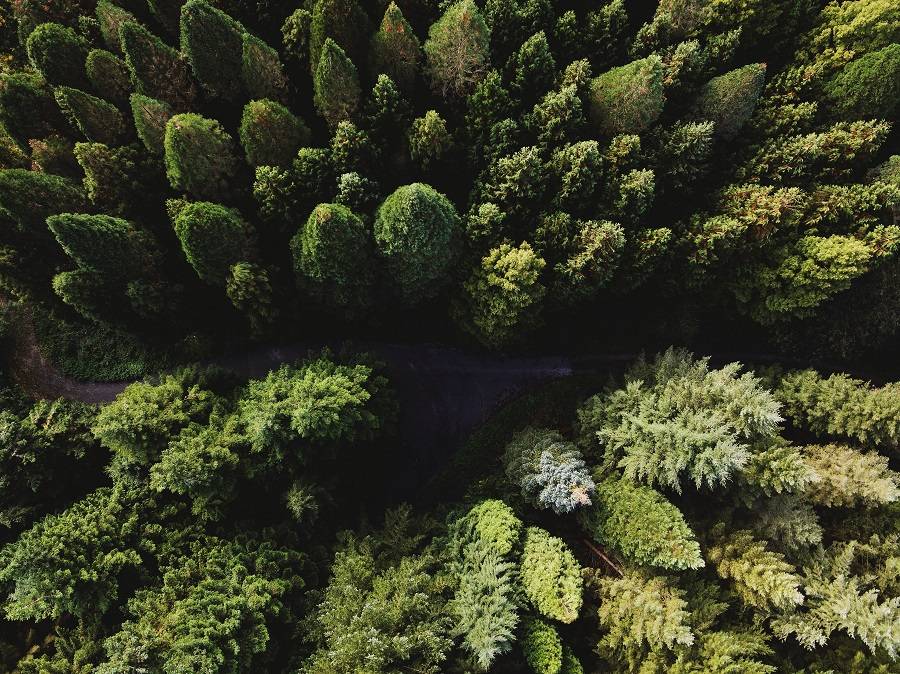 Der Blick aus dem Himmel