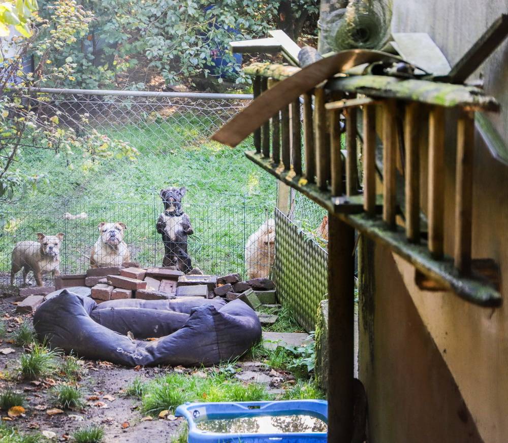  Blick auf das Gelände. 