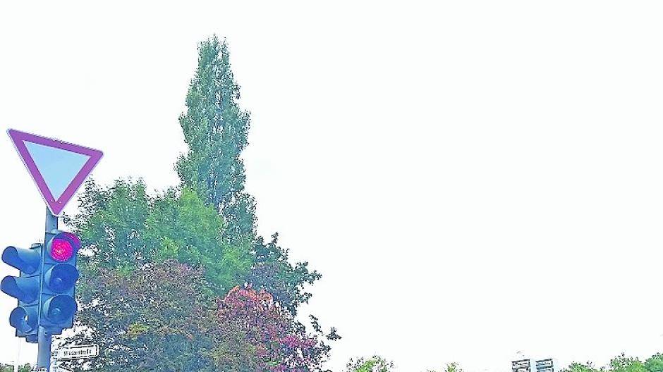 Leser: Warum ist er weg?