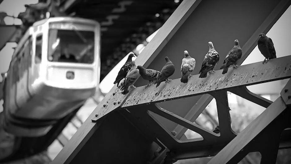 Die zwölfte #herztal-Woche