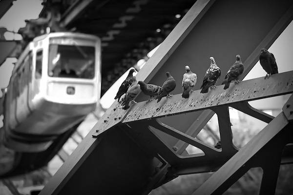  "Fokus setzen" benennt Reneé Patt ihr Foto der Woche. Sie möchte dabei zwei Blickwinkel auf Wuppertal zeigen. Mehr dazu in ihrem Instagram-Post. 