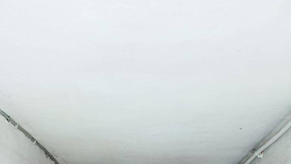 Hallo FreundeIch bin Greta (@gretammk), 19, studiere soziale Arbeit und desch ist eine...