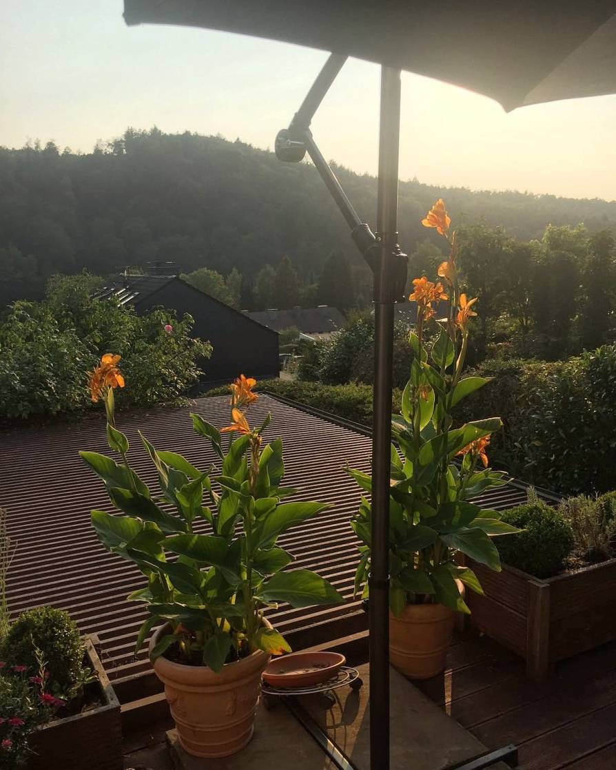  Kaffeekränzchen with a view. 