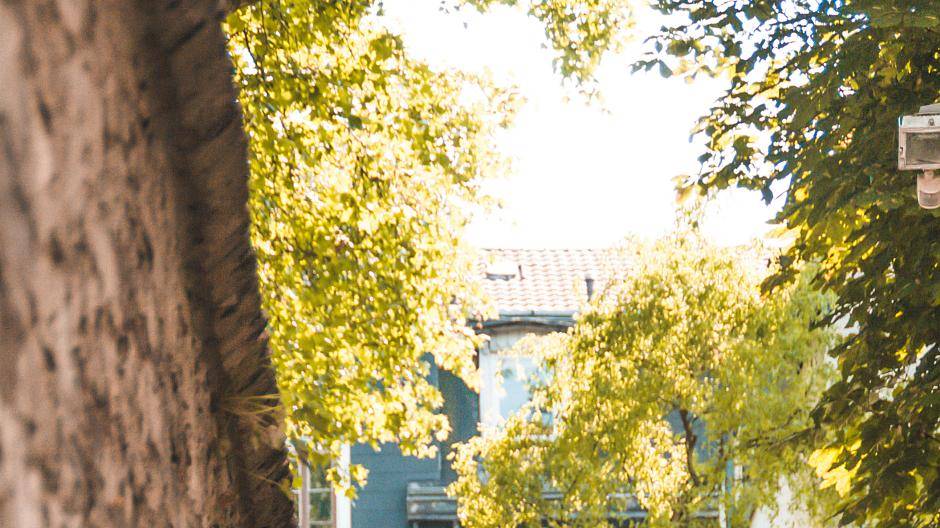 Und Schwupp-Diwupp ist meine Woche auch schon rum. Ich hoffe ich konnte euch Wuppertal...