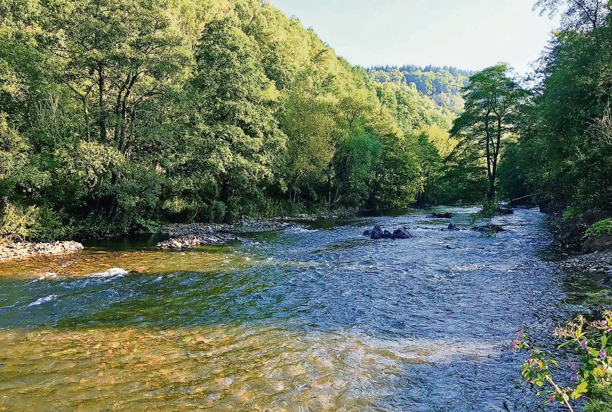  Wunderschön und wildromantisch — die Wupper in Laaken. 