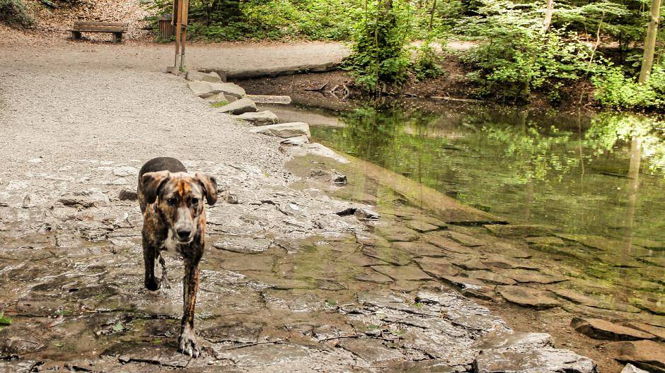 #goingforawalk im grünen &lt;br /&gt;Ein weiteres #herzstück Wuppertals ist die...