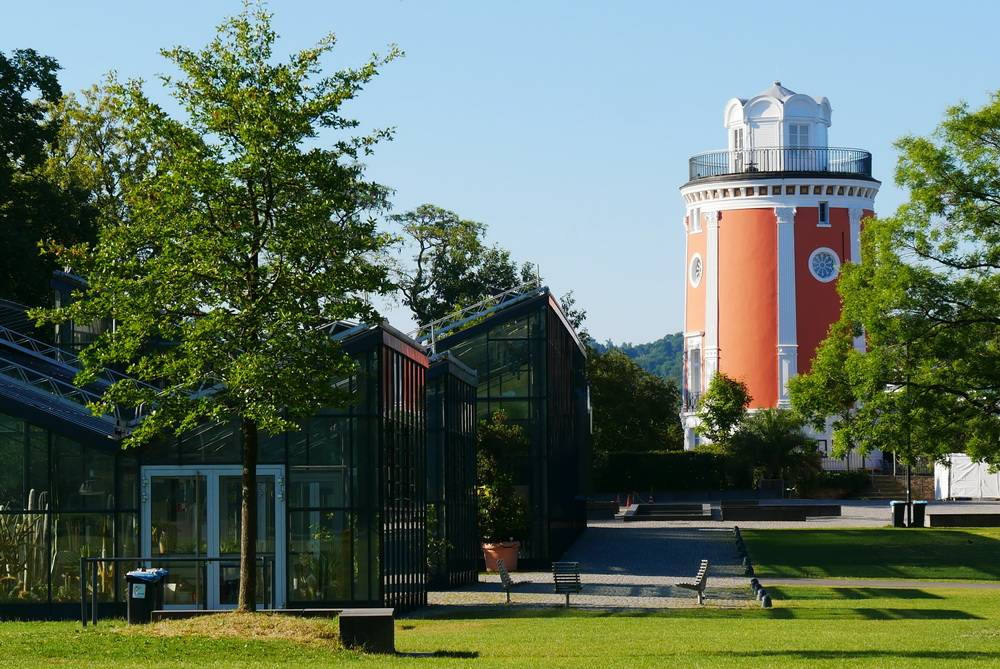 Leckeres von den Bäumen