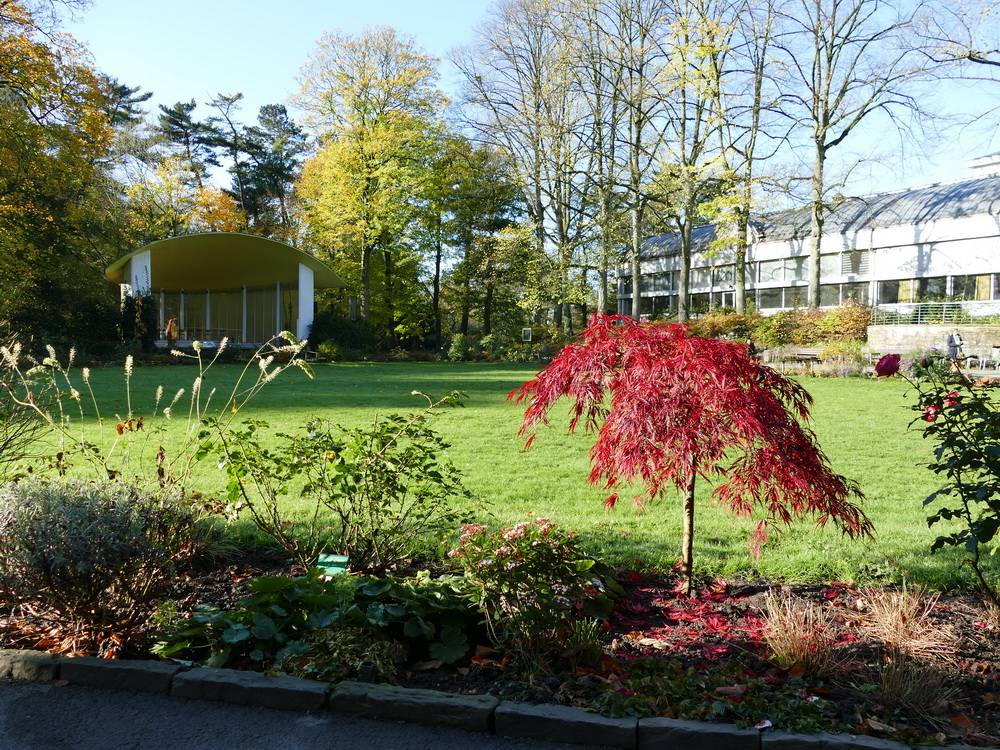  Die Musikmuschel in der Nähe des Zoo-Eingangs. 