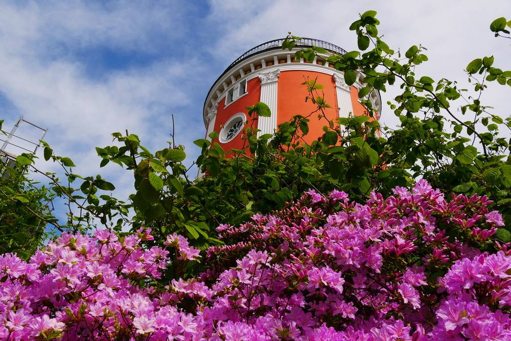  Der Elisenturm auf der Hardt. 
