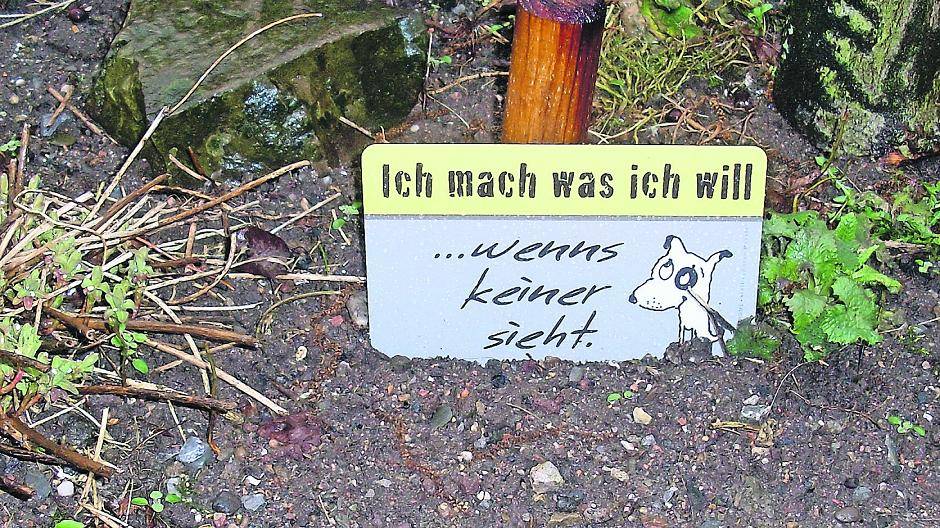 Leser: Unlustiger Witzbold