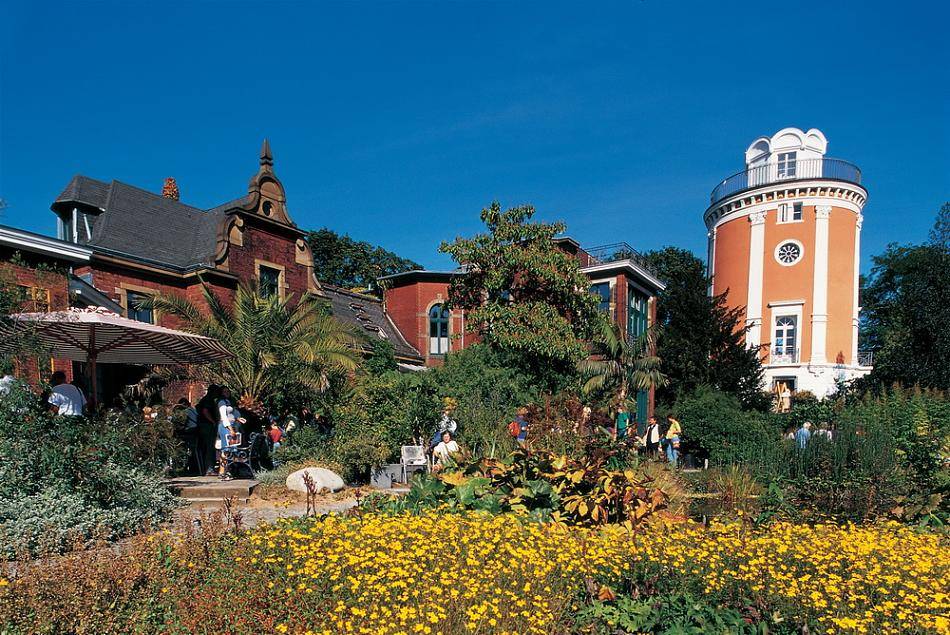  Blick auf den Elisenturm vom Botanischen Garten aus.  