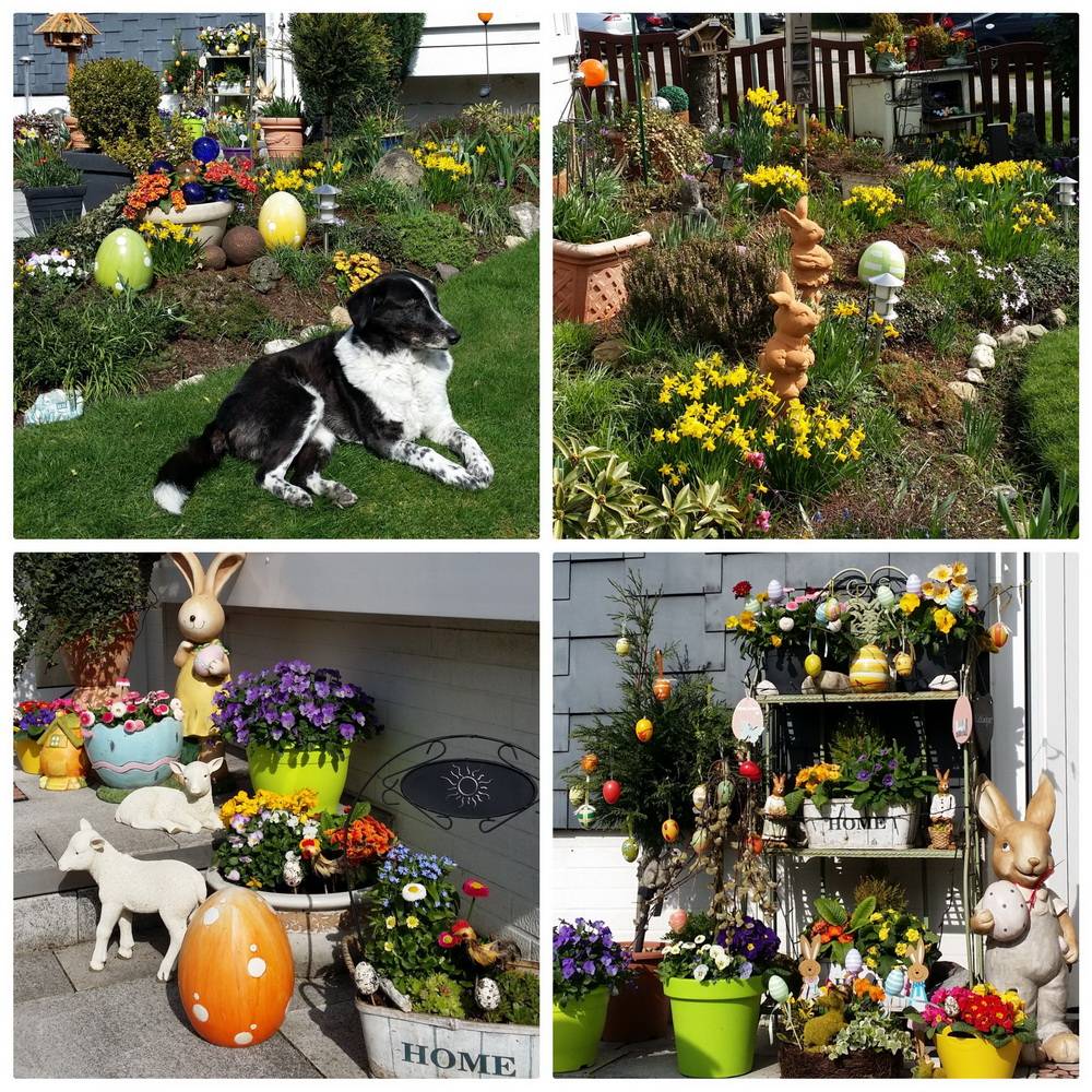 Im Garten von Charlotte Swienty ist schon alles auf Ostern eingestellt - Hündin Alba...