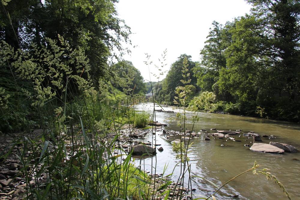  Natürlich gestaltet - die Wupper in Sonnborn. 