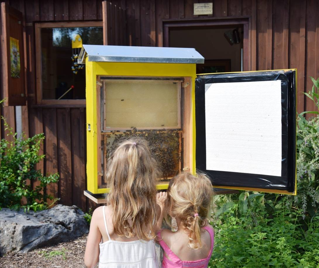In Cronenberg summen die Bienen