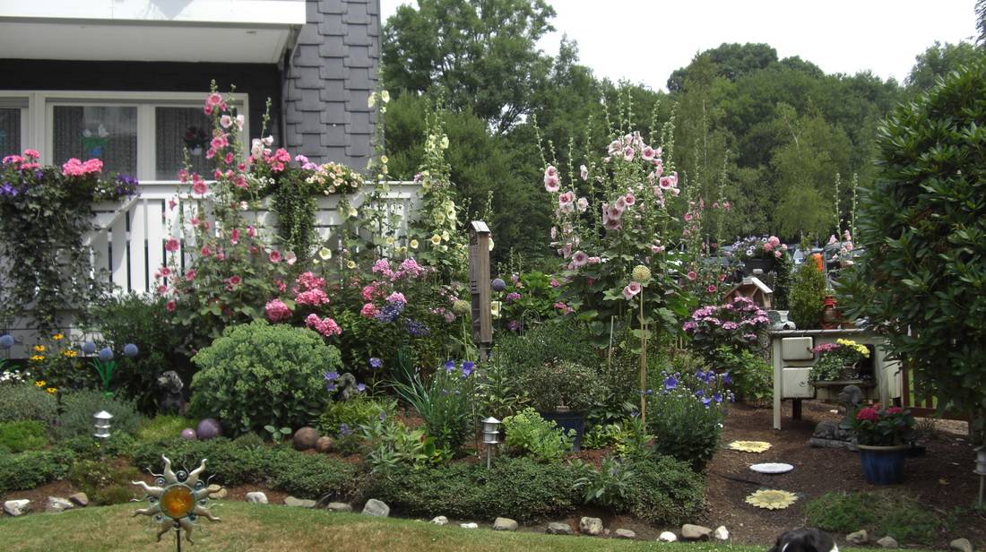 "Ganz viele Grüße aus meinem Blumen- und Insektenparadies, in dem es sich so wunderbar...