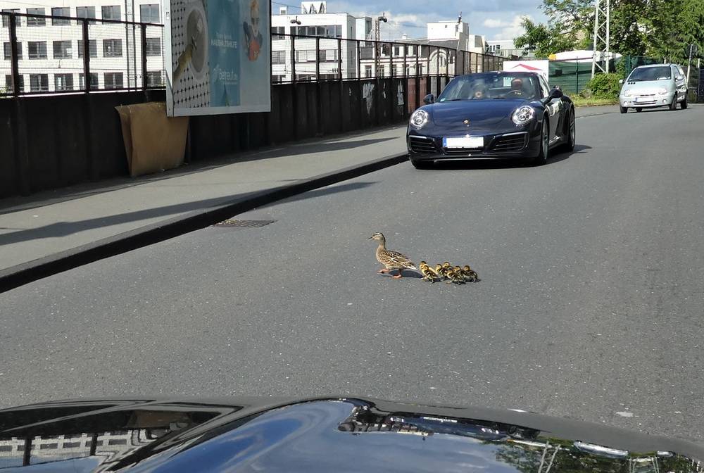 Leser-Foto: Vorfahrt beachten!